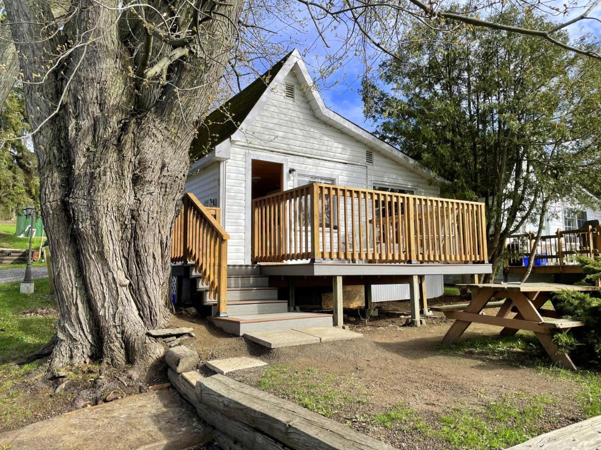 Merland Park Cottages And Motel Picton Exterior photo